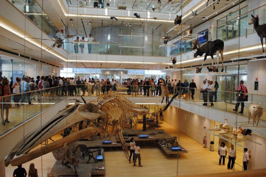 Fino al 31 dicembre e dal 2 al 6 gennaio MUSEONATALE Museo Nazionale Scienza e Tecnologia Fino al 31 dicembre e dal 2 al 6 gennaio MUSEONATALE Museo Nazionale Scienza e Tecnologia