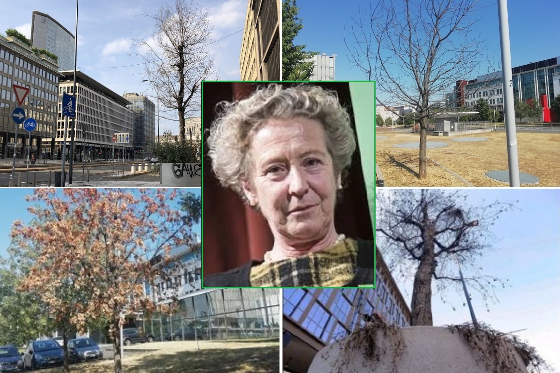 Alberi morti Milano