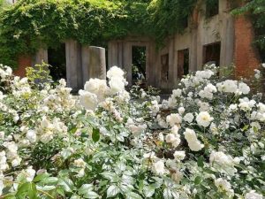 Milano il fascino nascosto del Giardino Aristide Calderini Milano Post