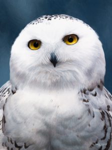 Marco Grasso_Ghost_2022