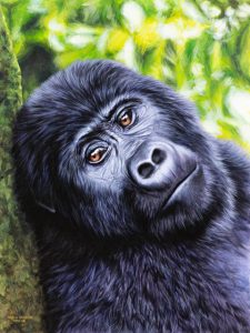 Marco Grasso_Mountain Gorilla_2023