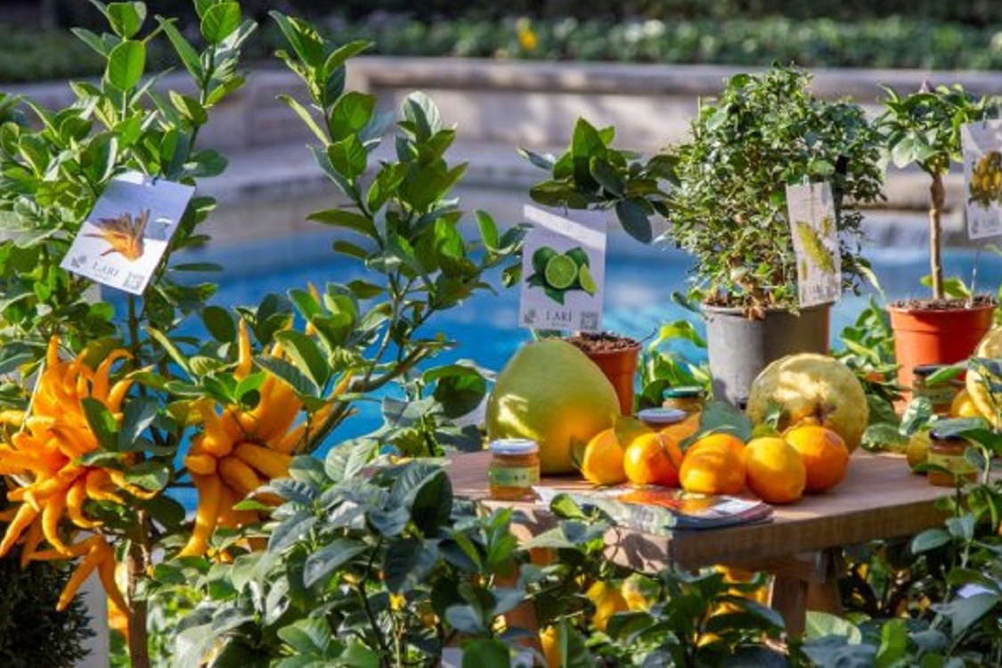 MilanoPost Agrumi -Villa Necchi Campiglio