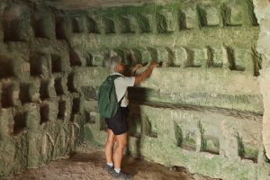 Caterina Majocchi critico d'arte