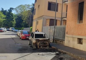 Auro bruciata Niguarda