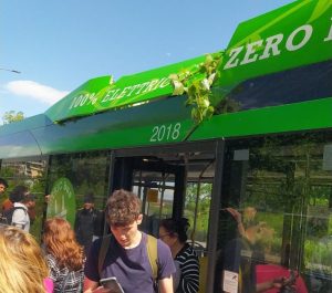 albero caduto su bus