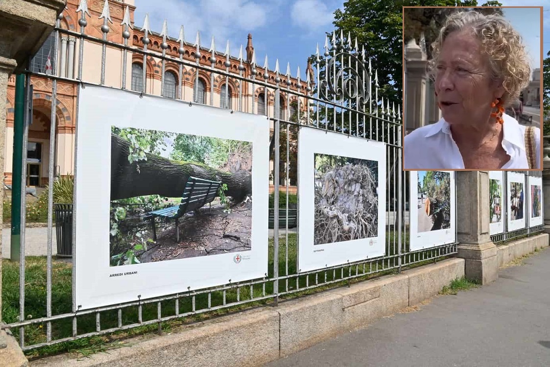 Ass.Grandi-mostra alberi caduti 2023