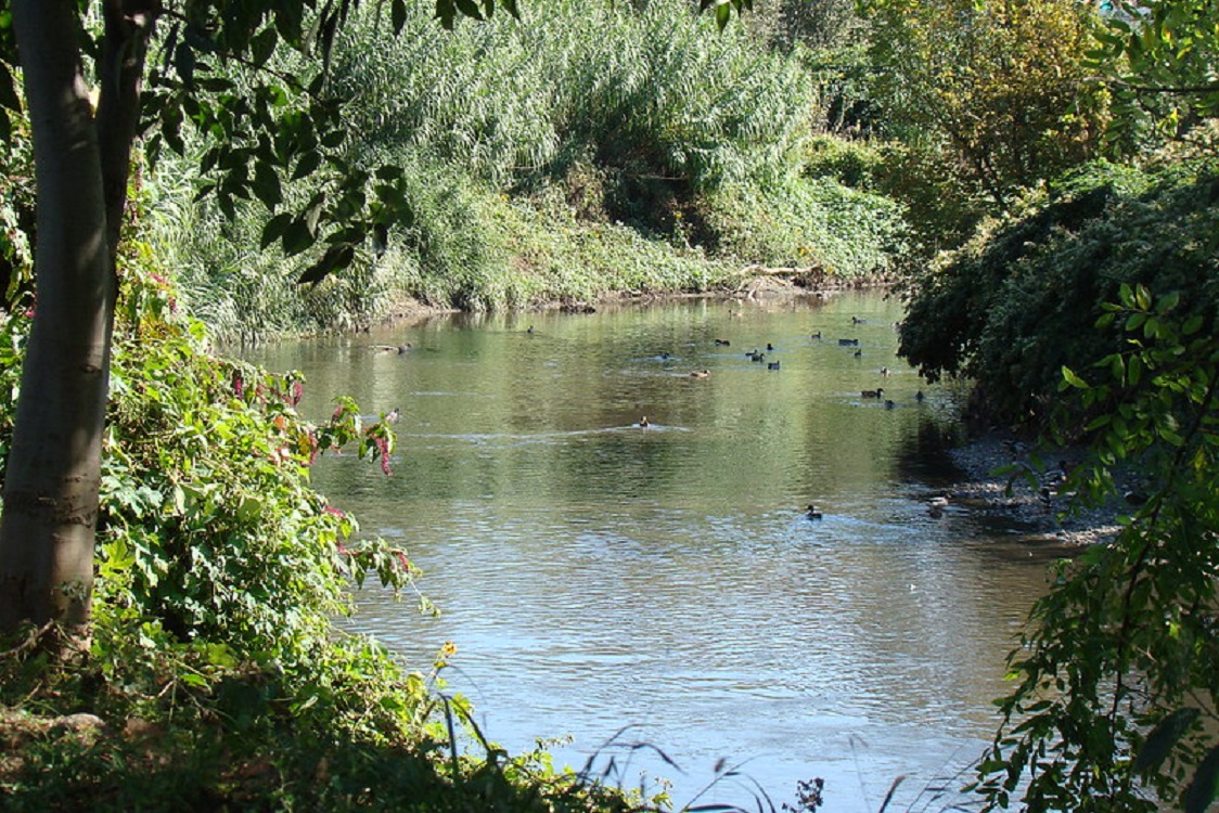 fiume Lambro