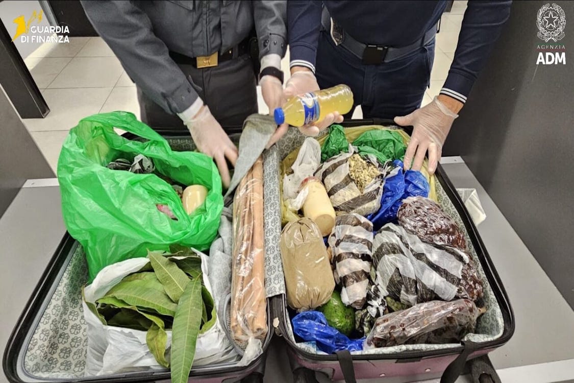Linate: in 6 mesi sequestrate 6,5 tonnellate di alimenti vietati all'importazione