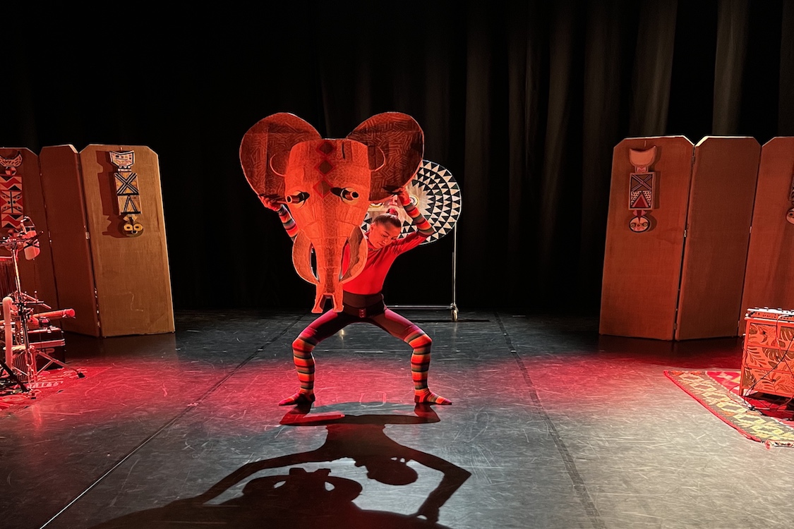 Spettacolo l'elefante e la pioggia