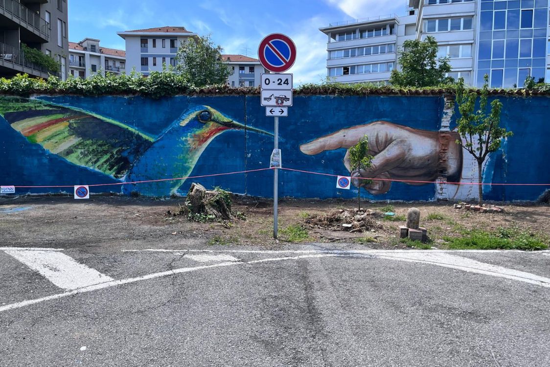 Zuart (