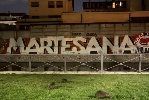 Martesana